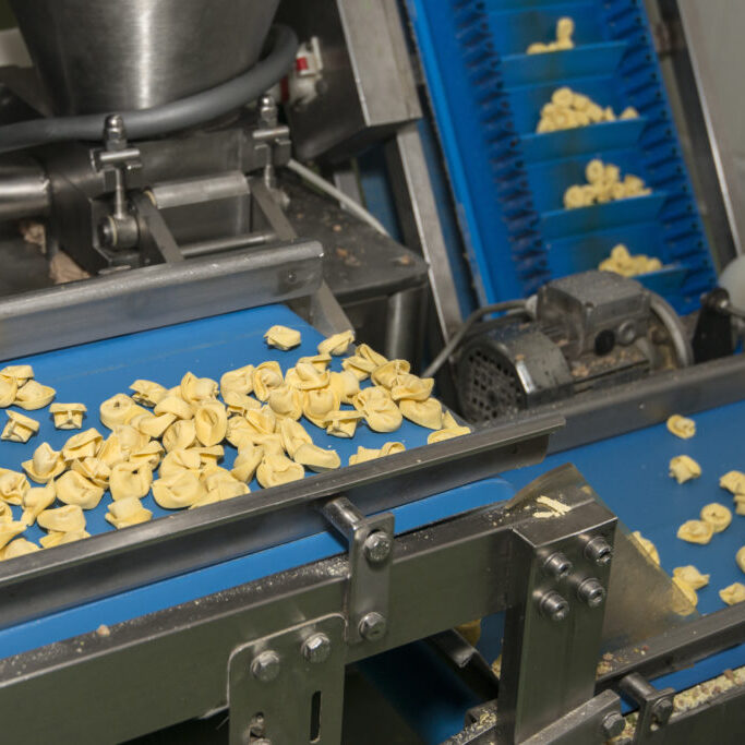 Tortellini Pasta on conveyor belt